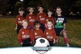 2013 Mighty Lions U6